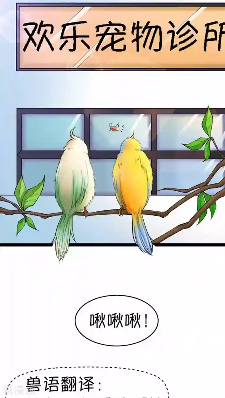 铲屎官也要谈恋爱第4话