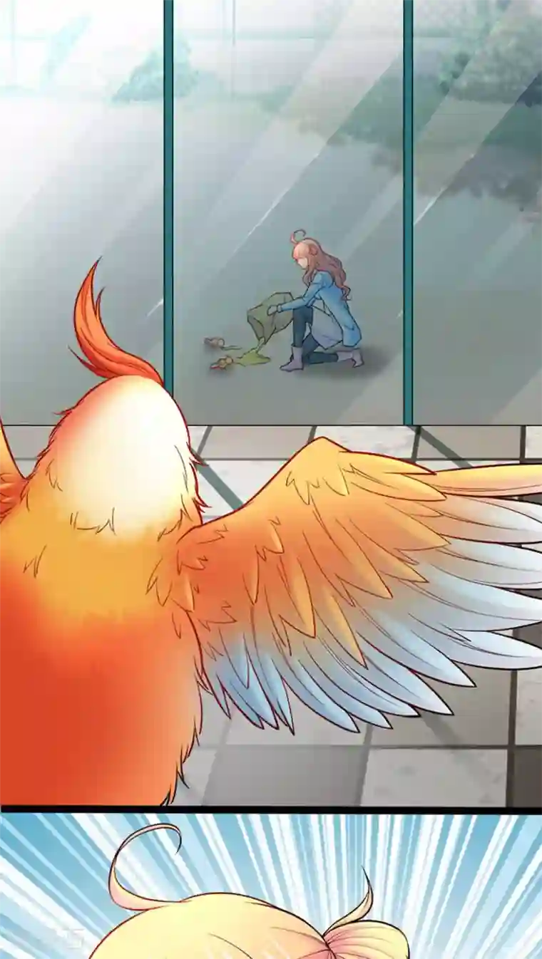 铲屎官也要谈恋爱第4话