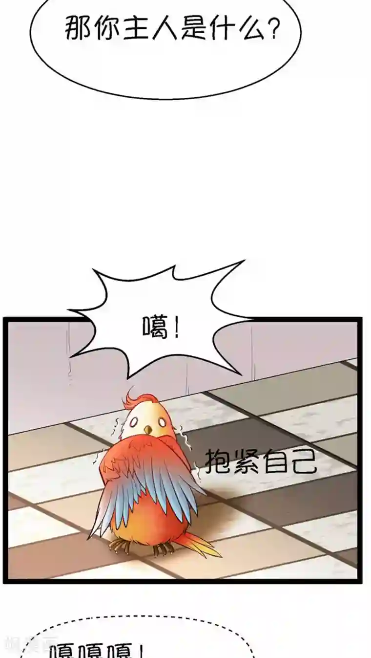 铲屎官也要谈恋爱第4话