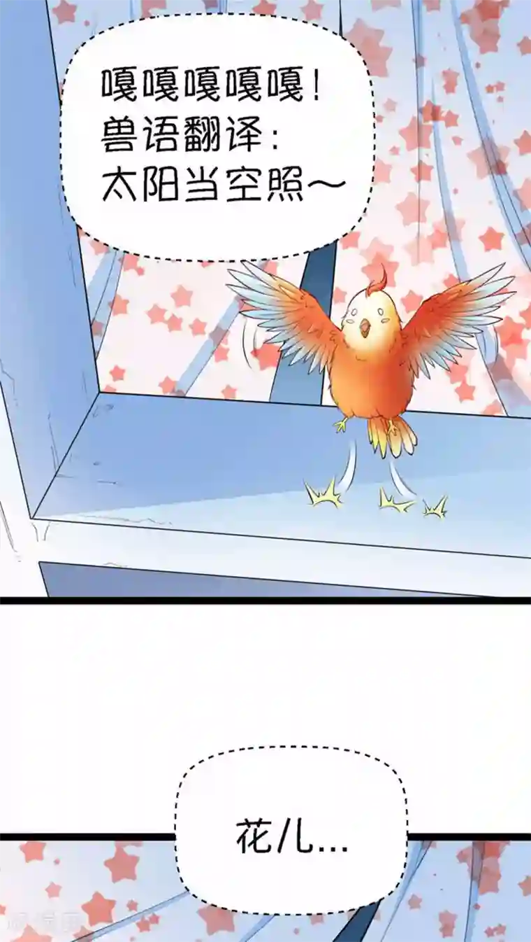 铲屎官也要谈恋爱第4话