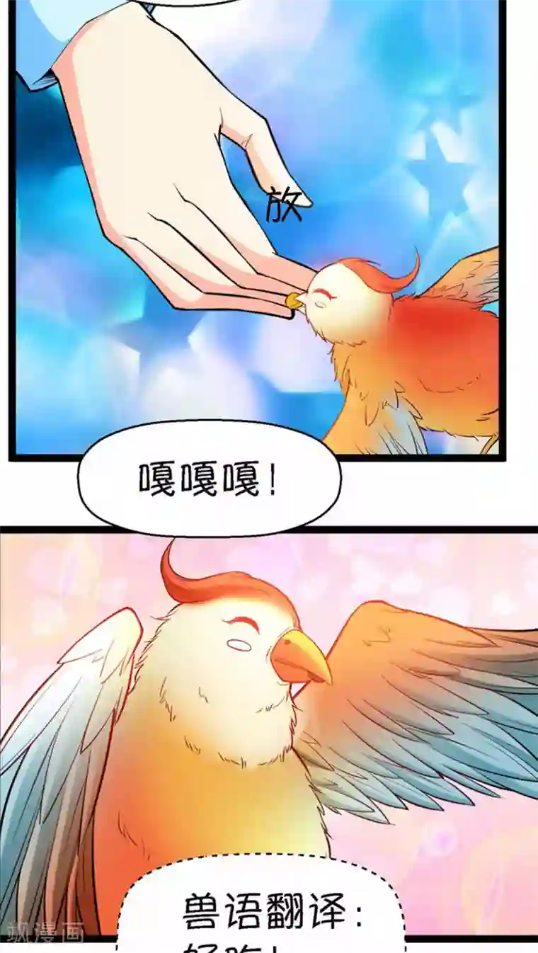 铲屎官也要谈恋爱第4话