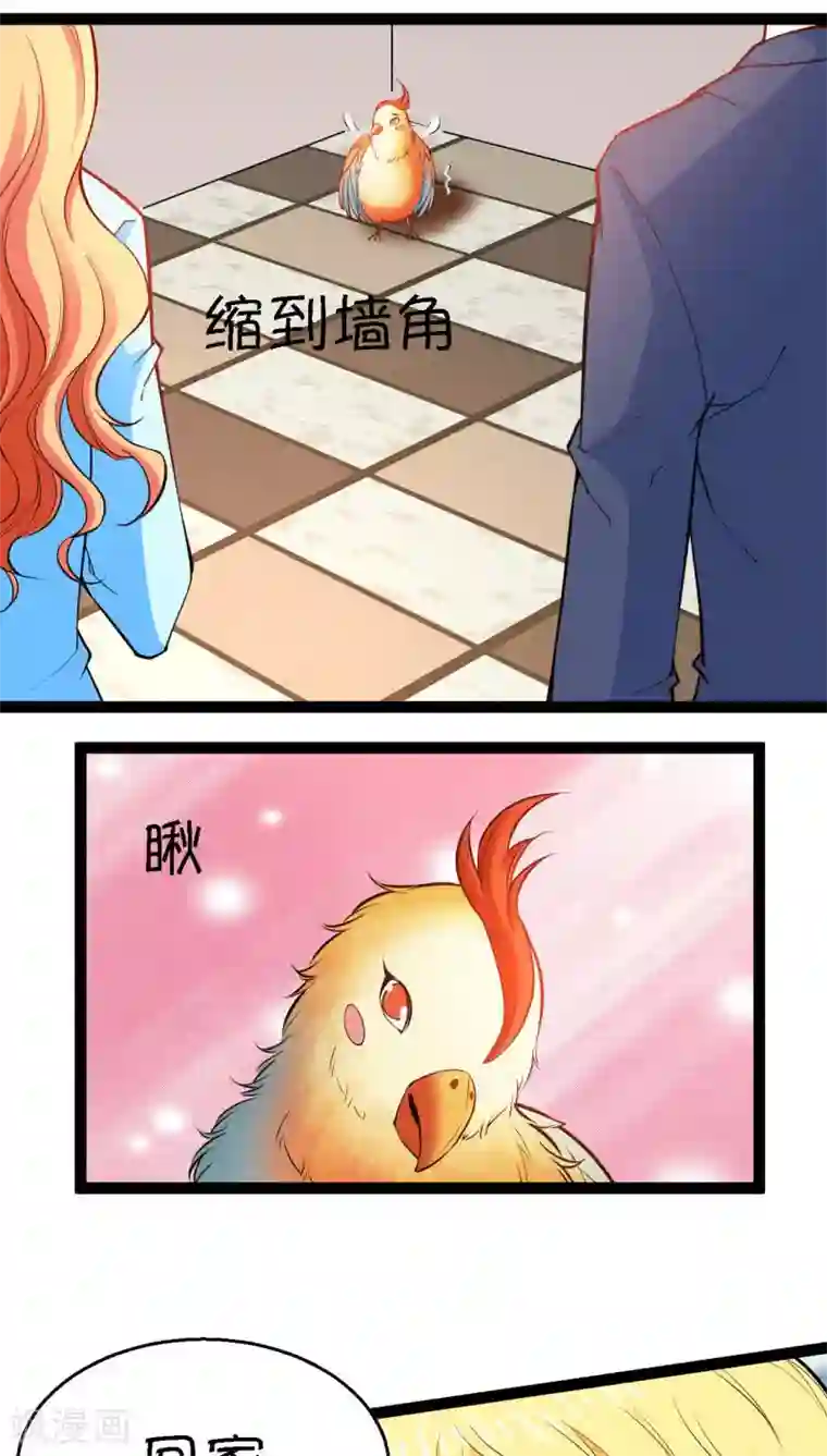 铲屎官也要谈恋爱第5话