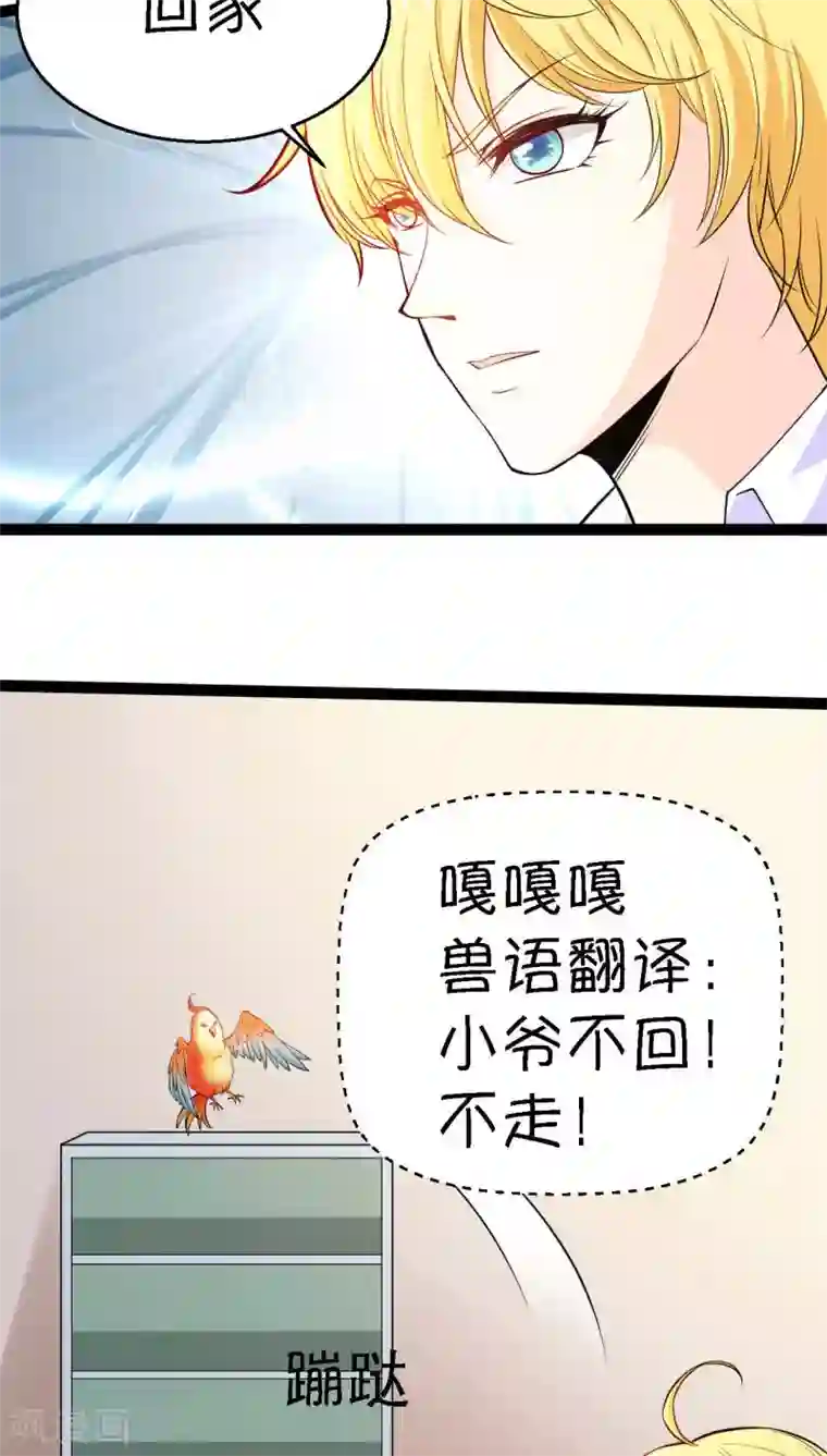 铲屎官也要谈恋爱第5话