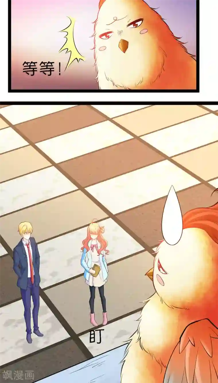 铲屎官也要谈恋爱第5话