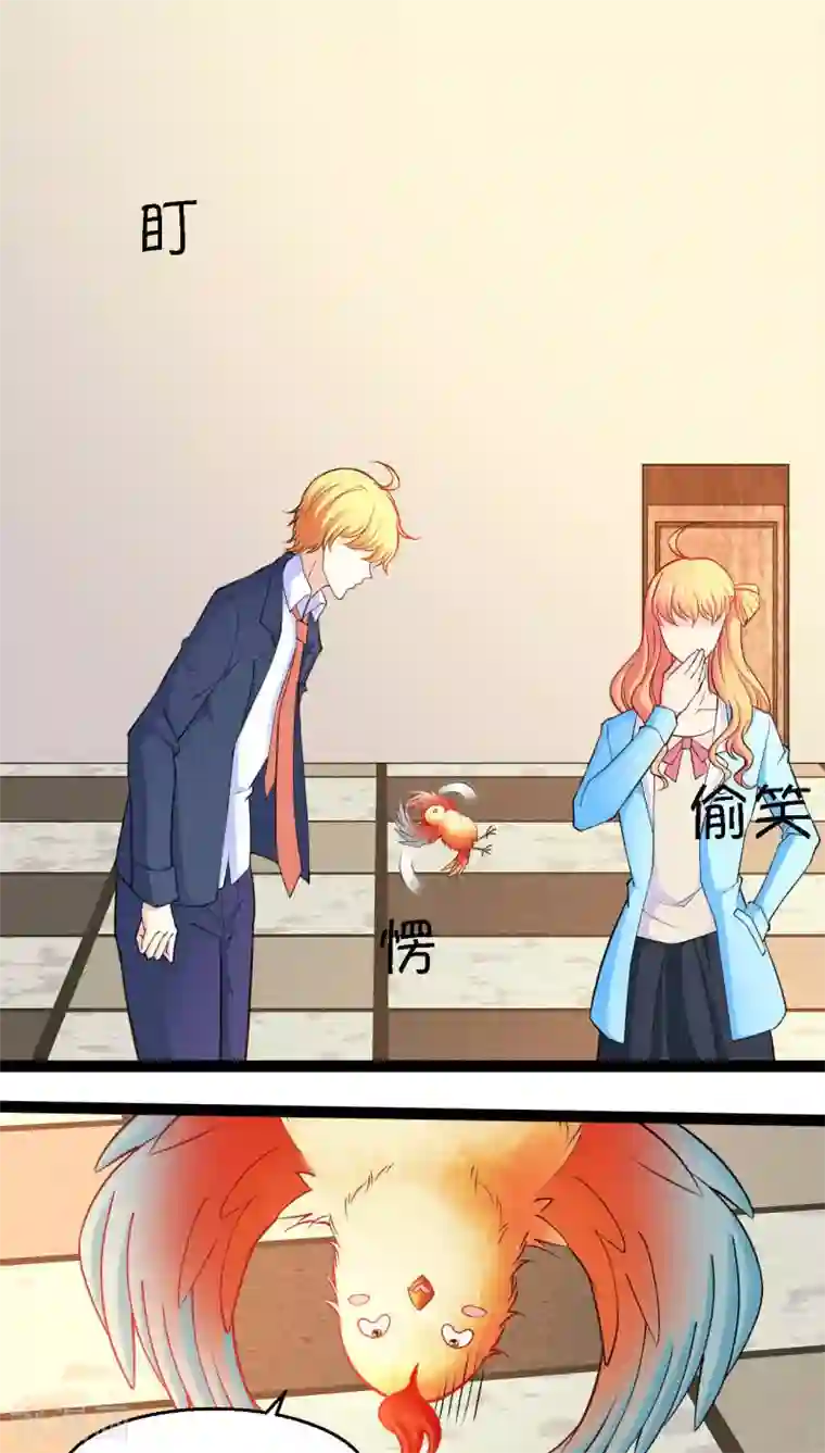 铲屎官也要谈恋爱第5话