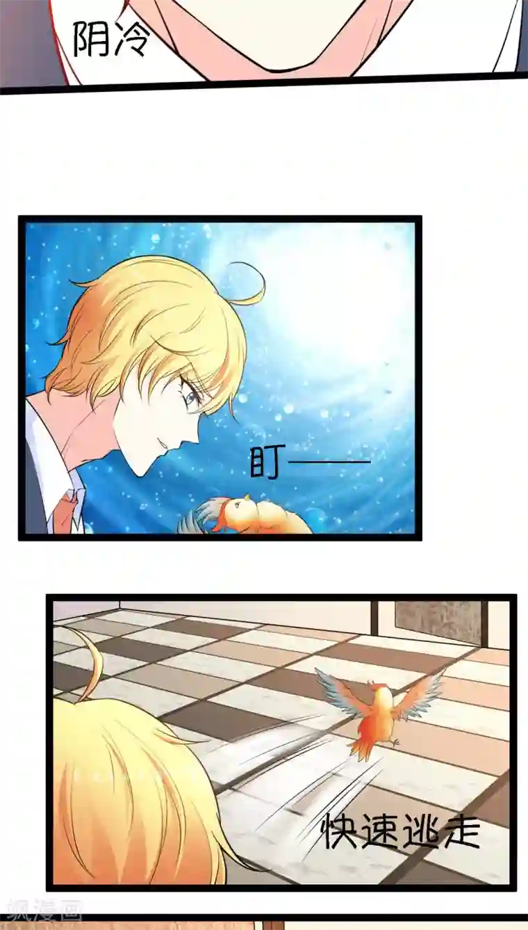 铲屎官也要谈恋爱第5话