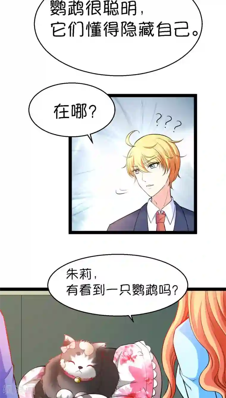 铲屎官也要谈恋爱第5话