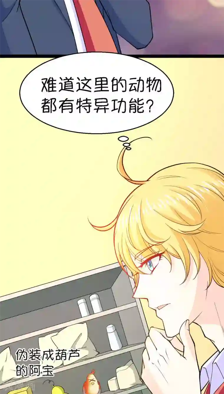 铲屎官也要谈恋爱第5话