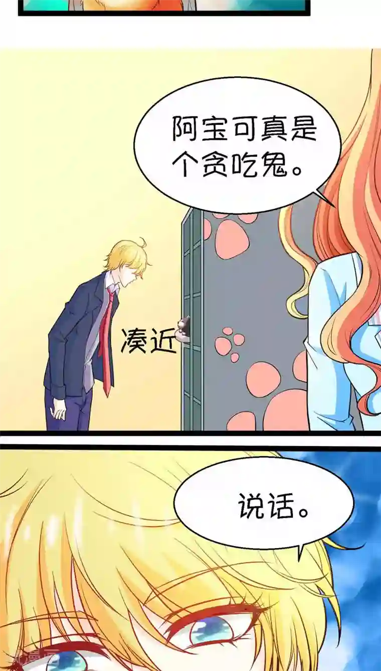 铲屎官也要谈恋爱第5话