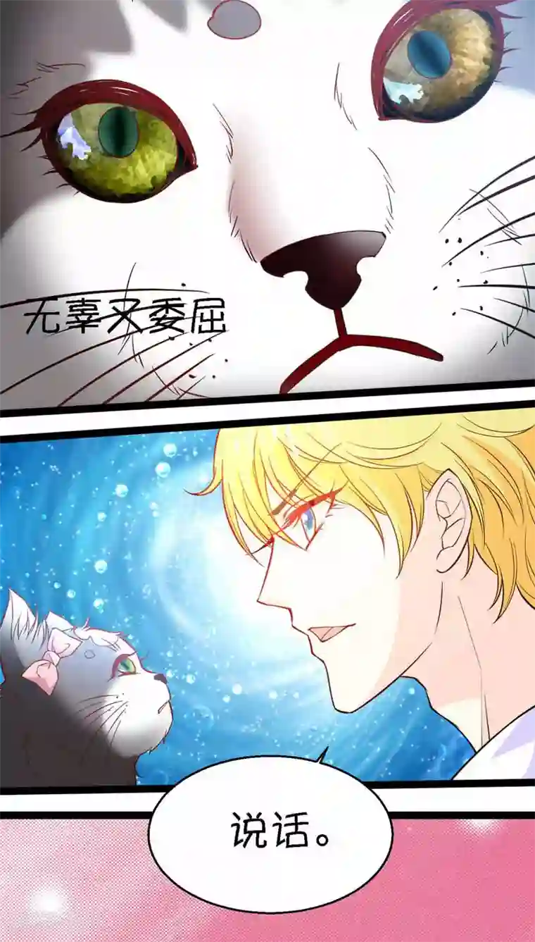 铲屎官也要谈恋爱第5话