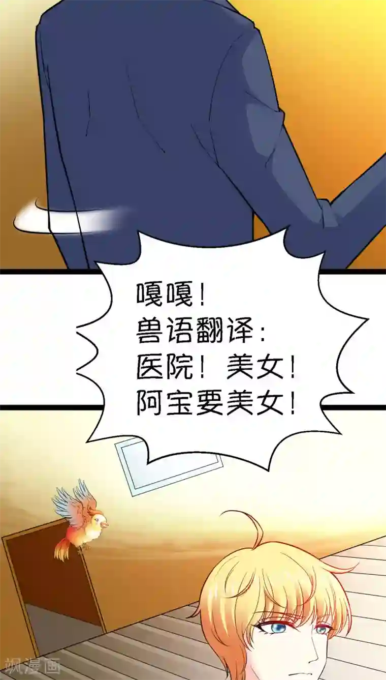 铲屎官也要谈恋爱第6话