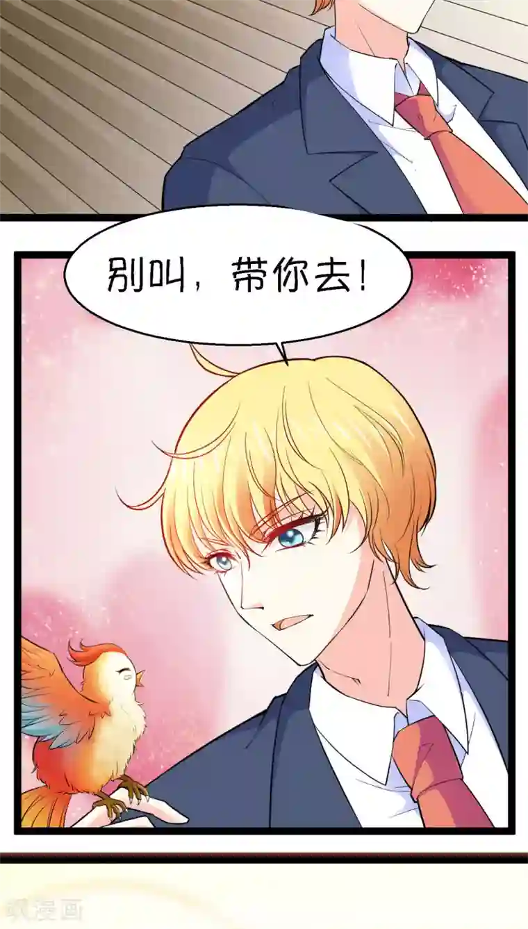 铲屎官也要谈恋爱第6话