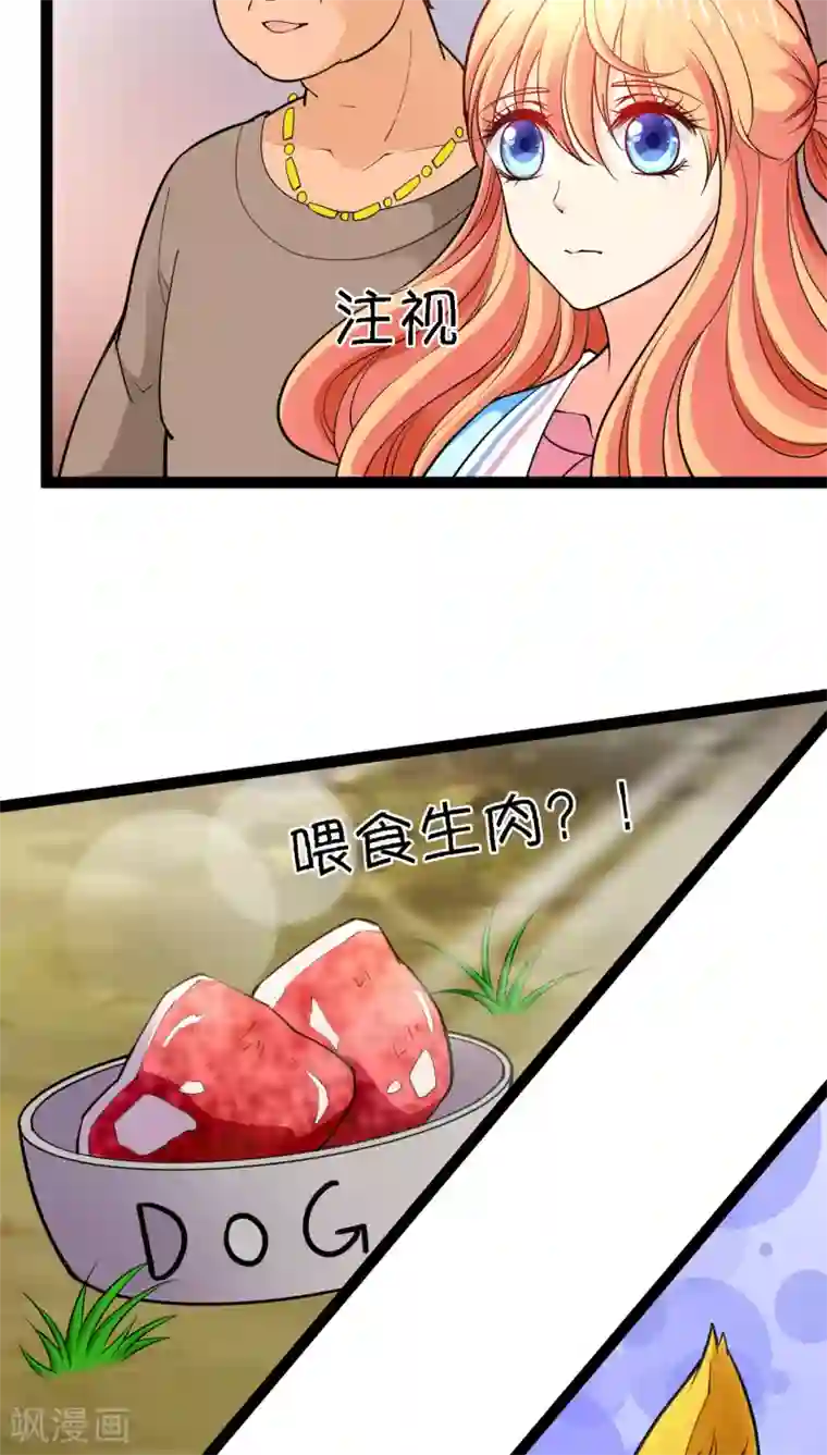 铲屎官也要谈恋爱第7话