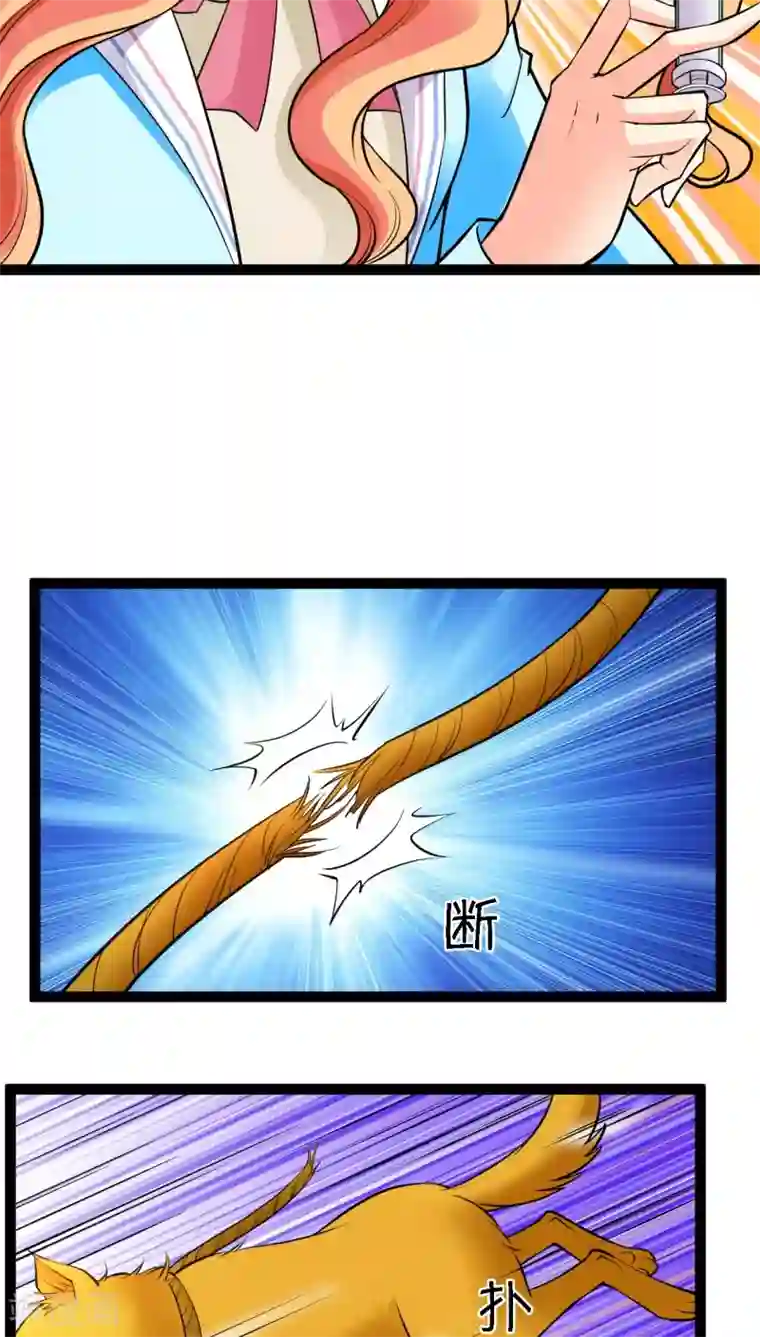 铲屎官也要谈恋爱第7话