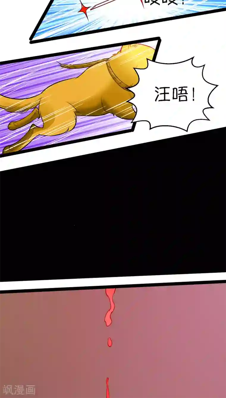 铲屎官也要谈恋爱第7话