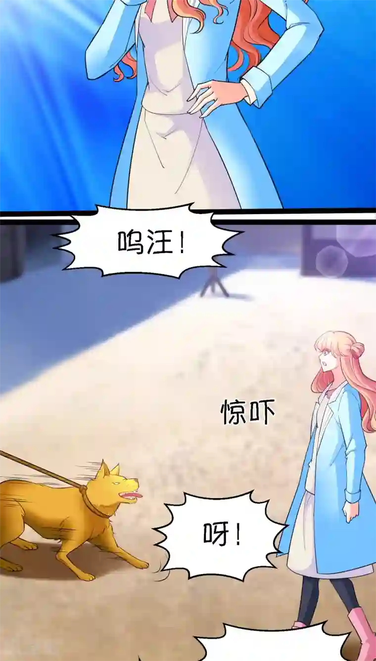 铲屎官也要谈恋爱第7话