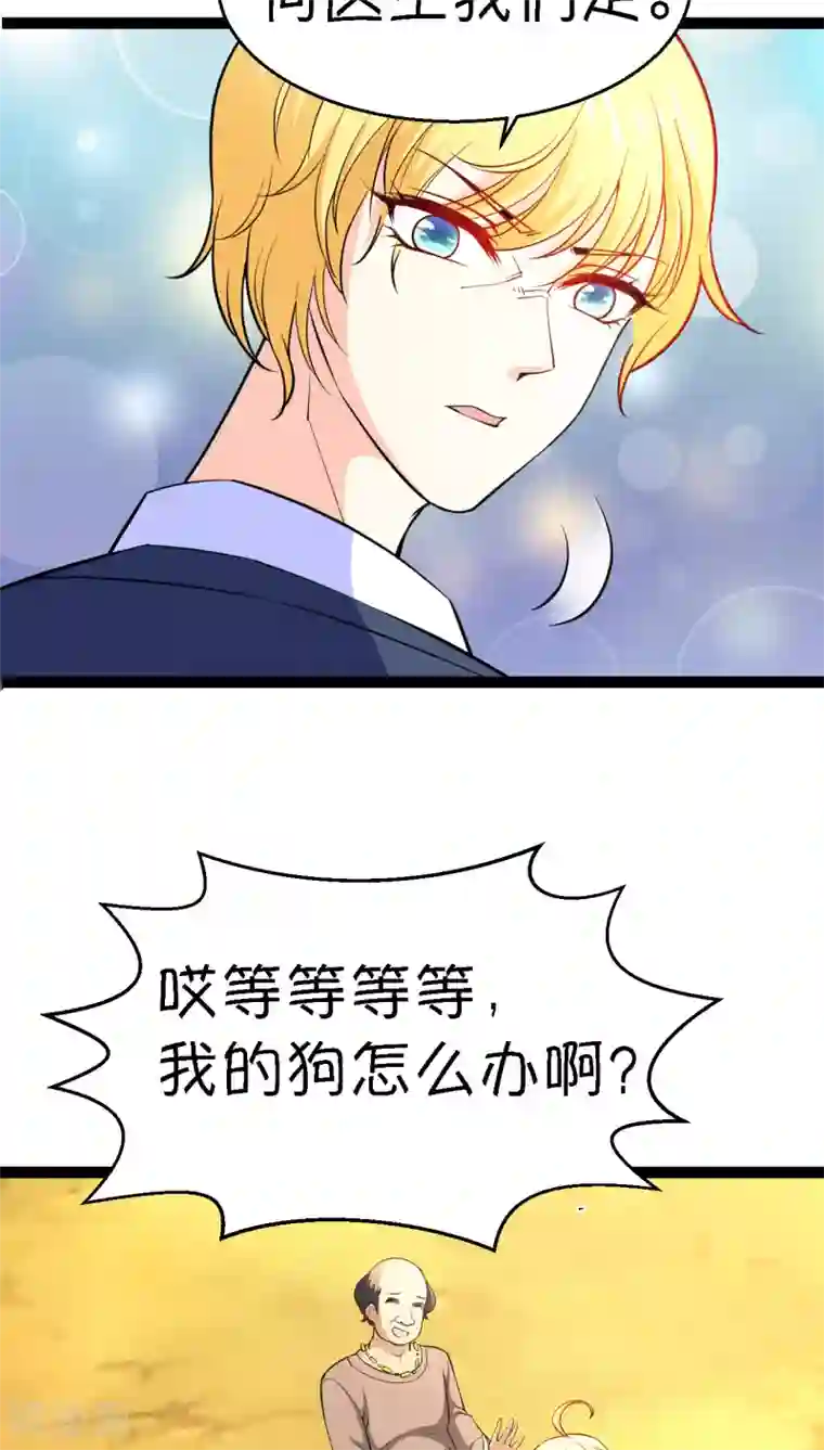 铲屎官也要谈恋爱第7话