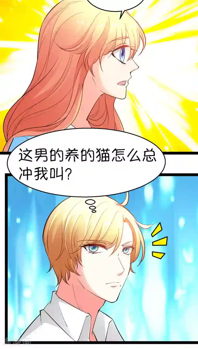 铲屎官也要谈恋爱第11话