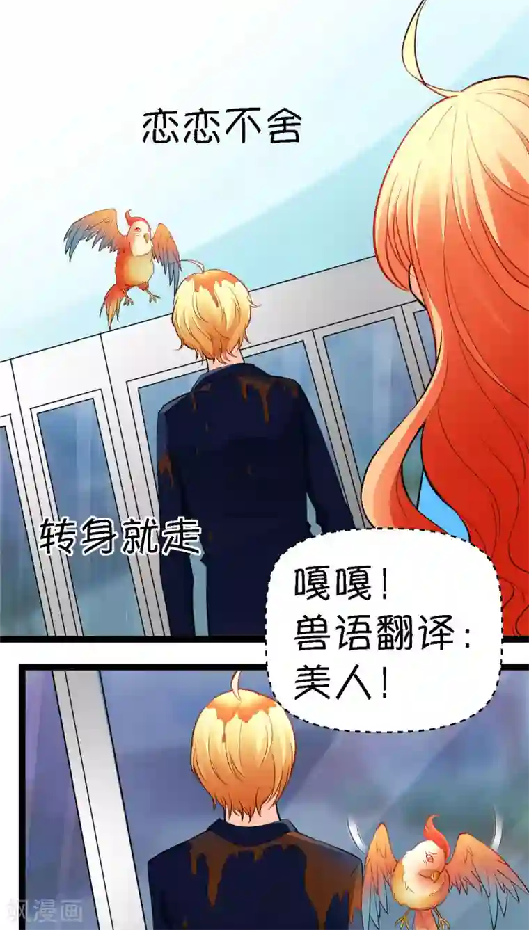 铲屎官也要谈恋爱第11话