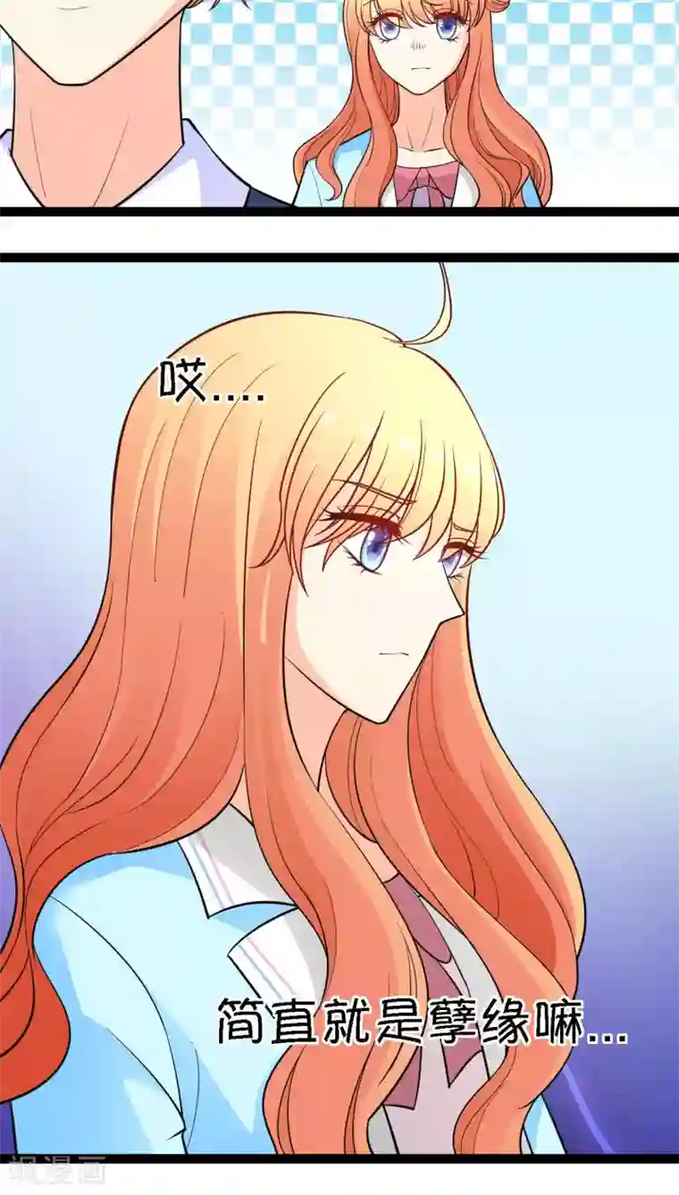 铲屎官也要谈恋爱第11话