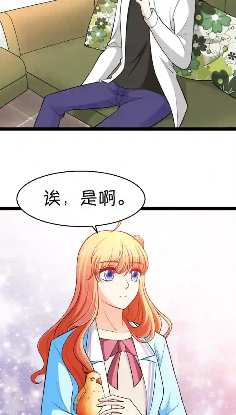 铲屎官也要谈恋爱第11话