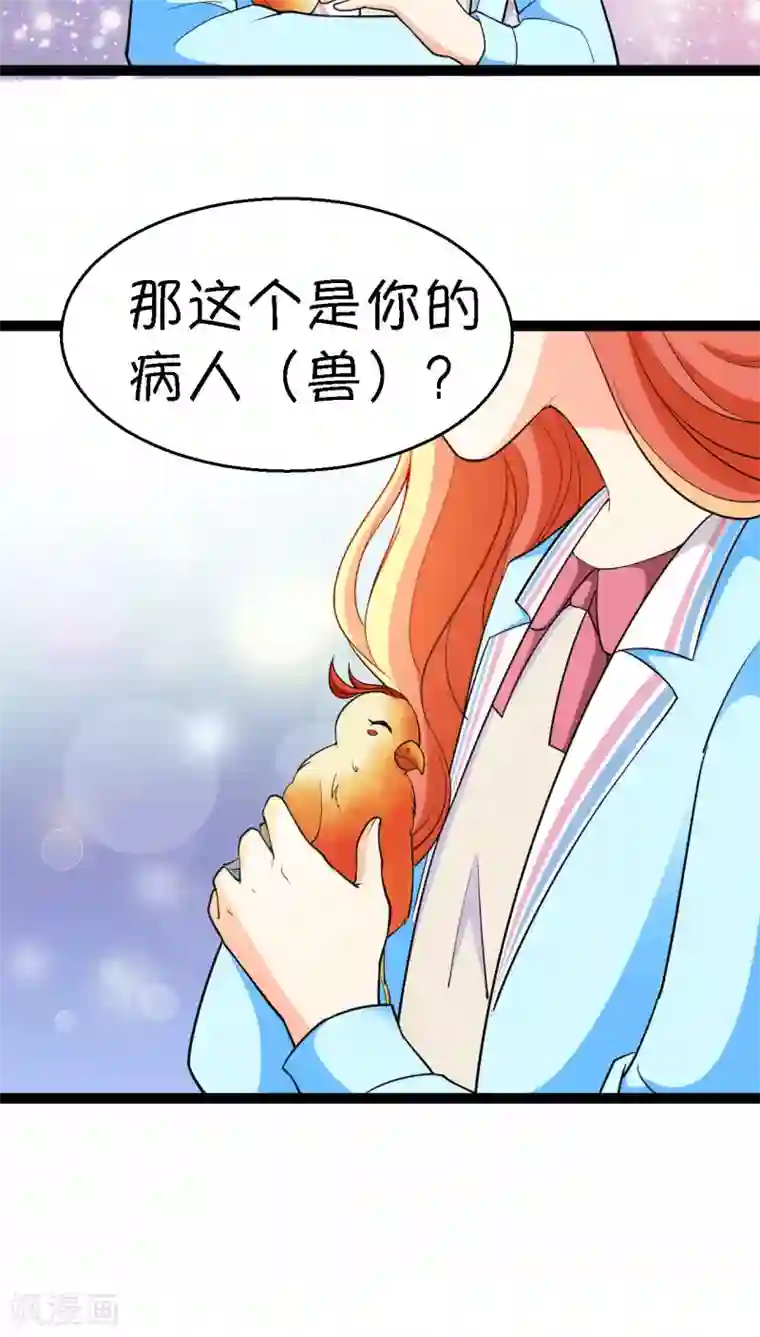 铲屎官也要谈恋爱第11话