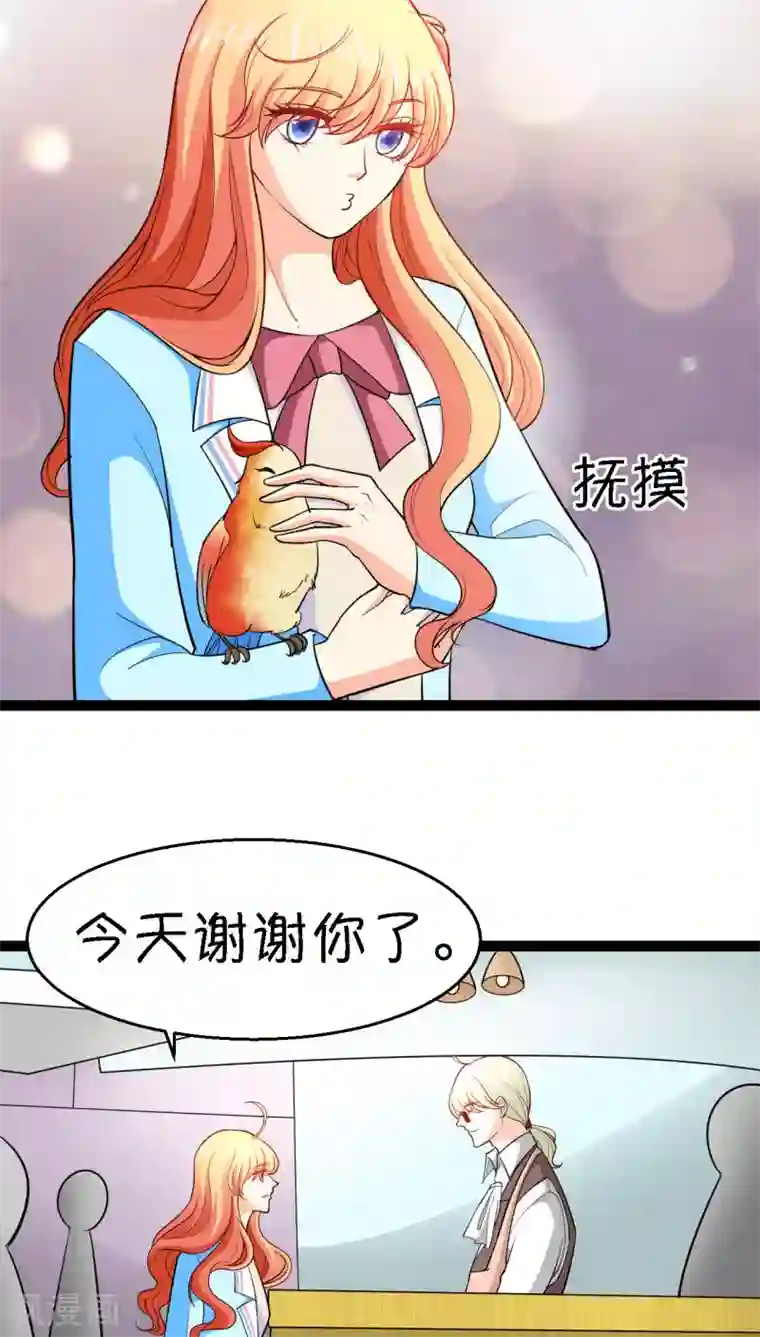 铲屎官也要谈恋爱第11话