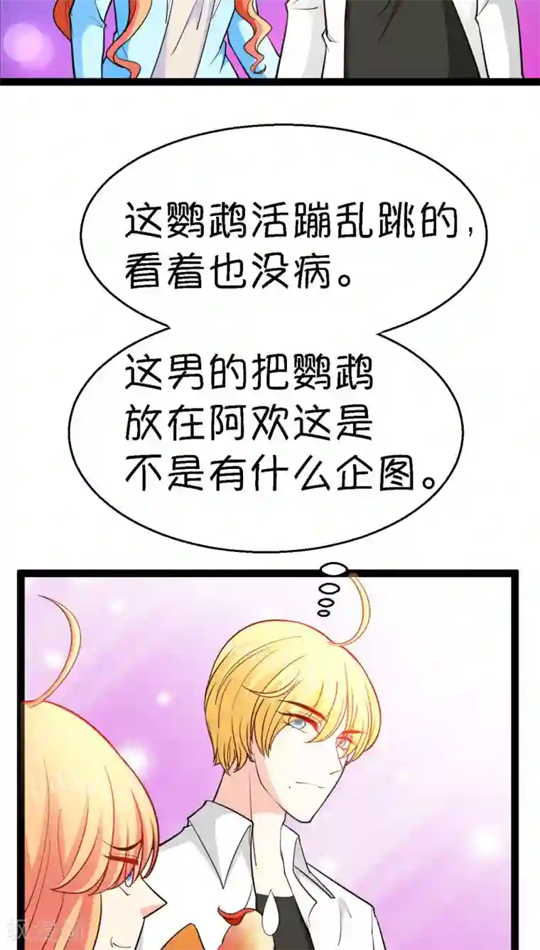 铲屎官也要谈恋爱第11话