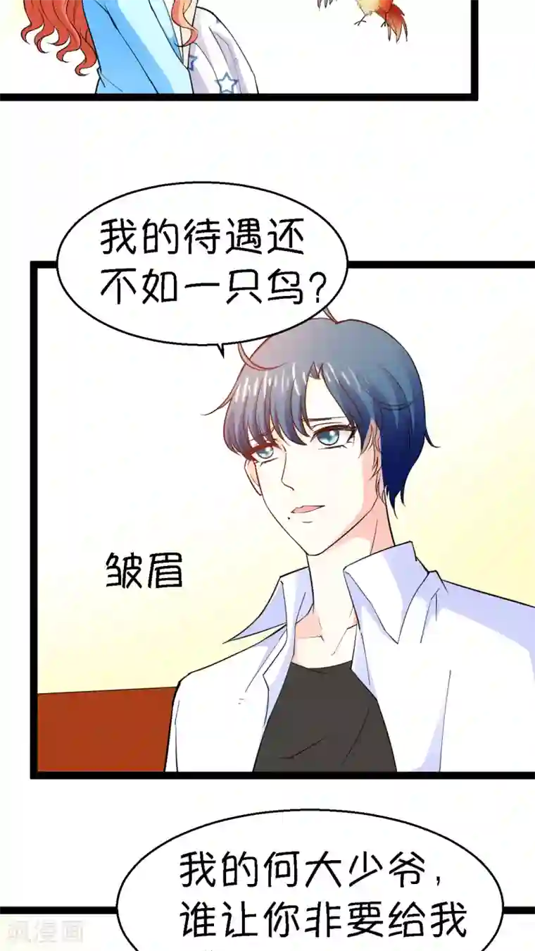 铲屎官也要谈恋爱第12话