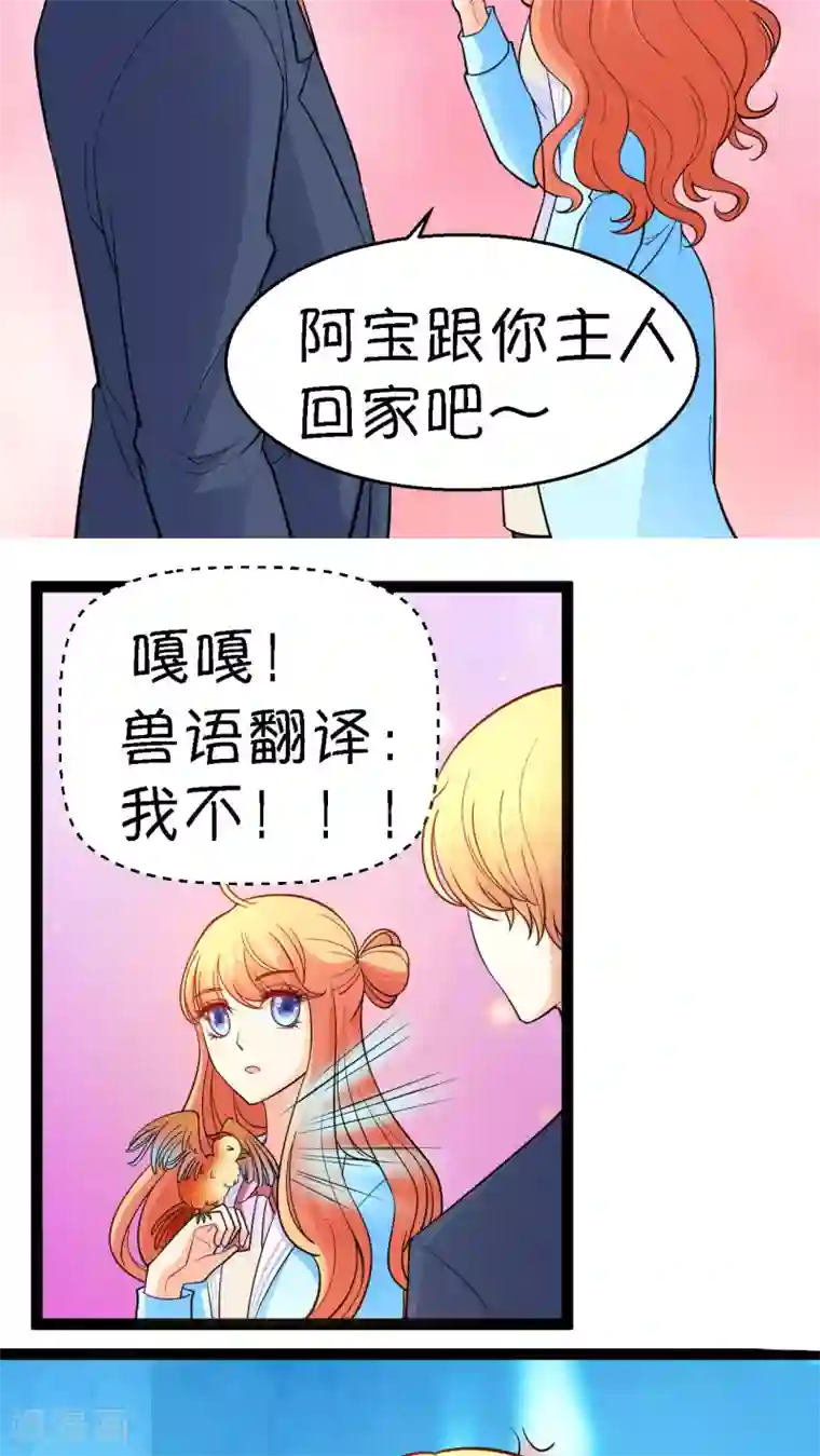 铲屎官也要谈恋爱第12话