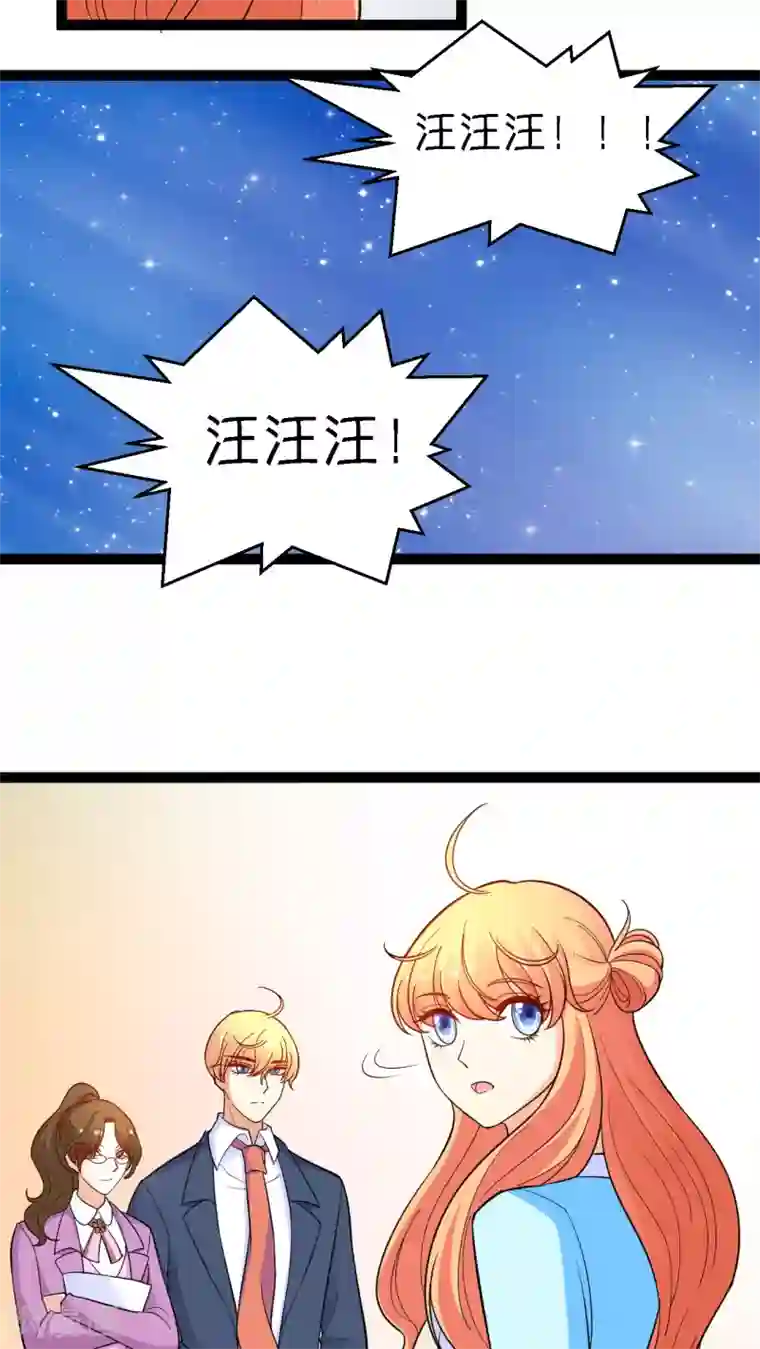 铲屎官也要谈恋爱第12话