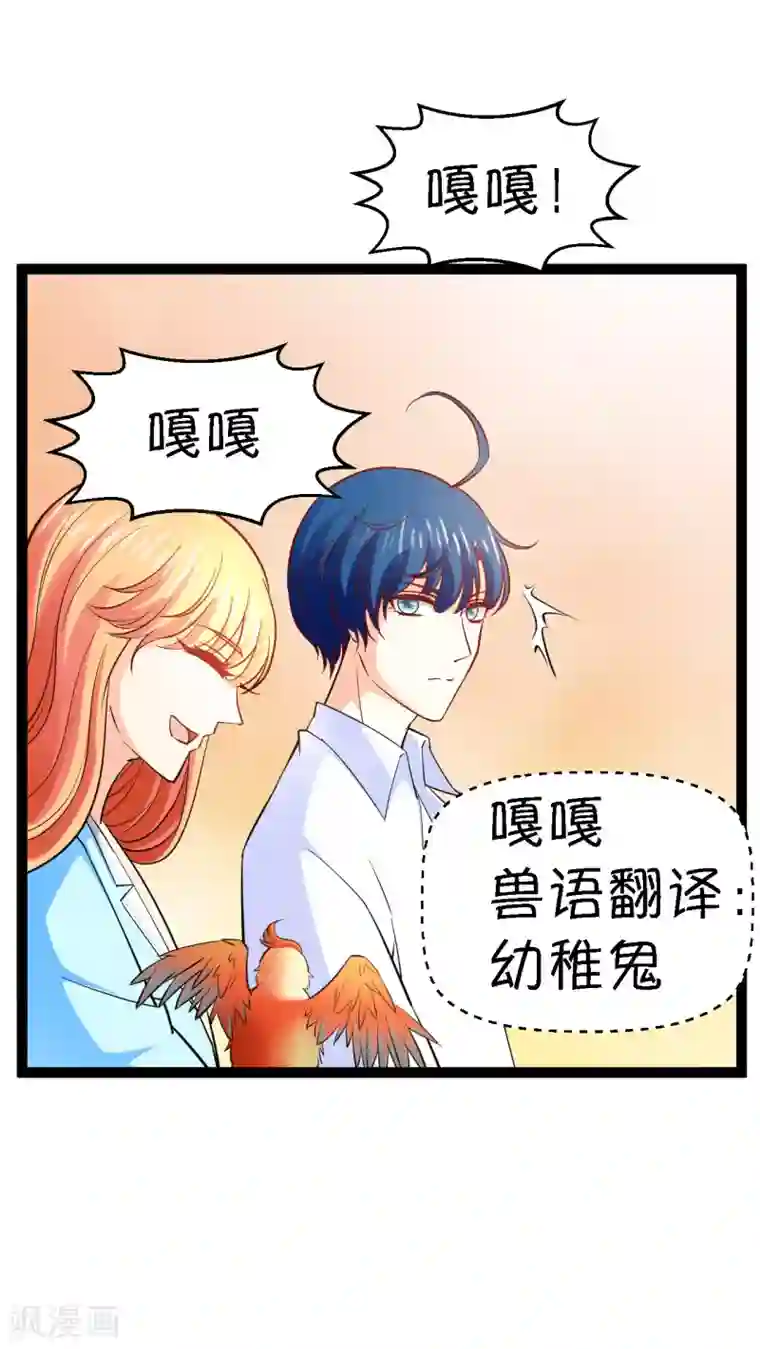 铲屎官也要谈恋爱第12话