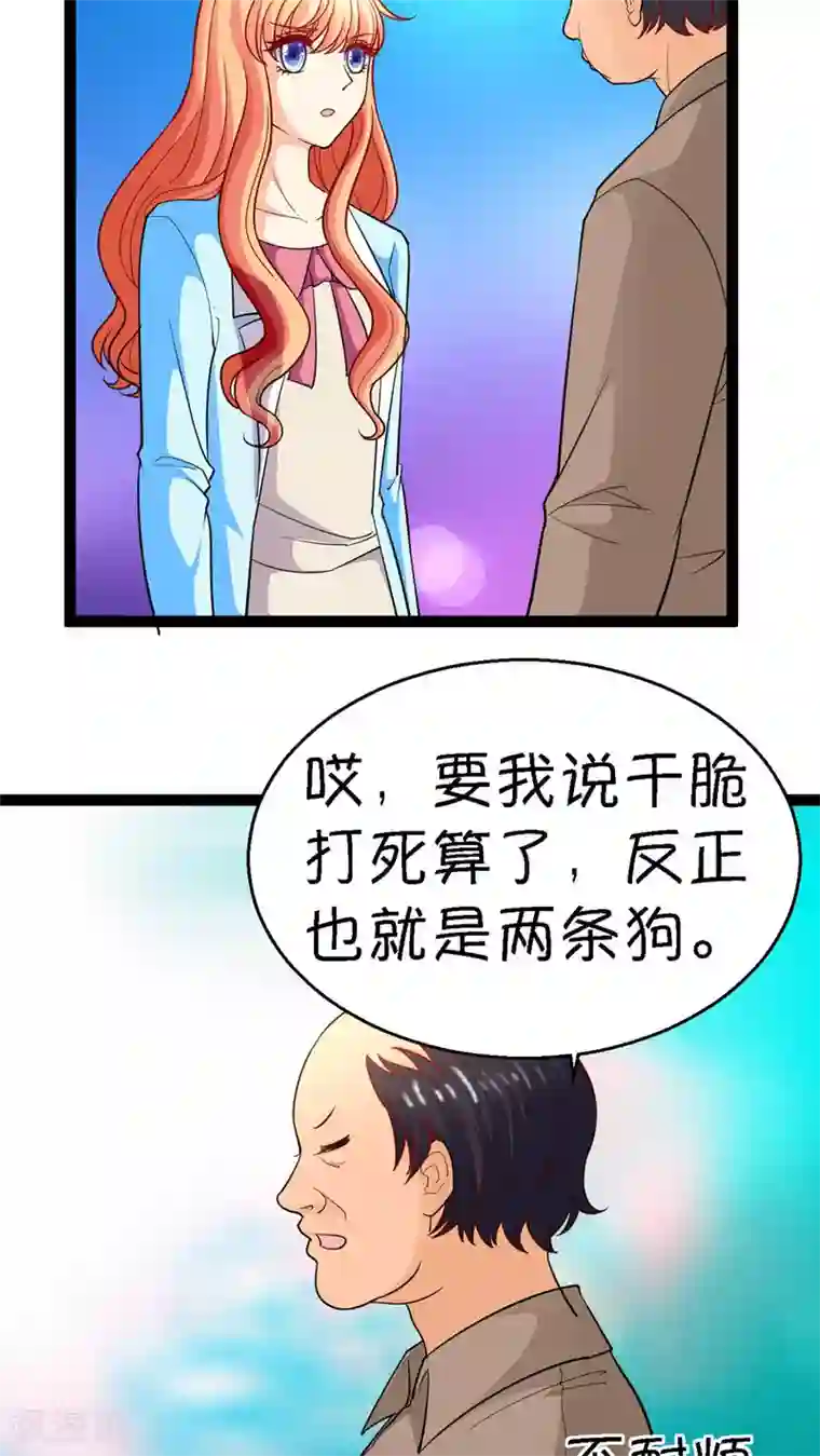 铲屎官也要谈恋爱第13话