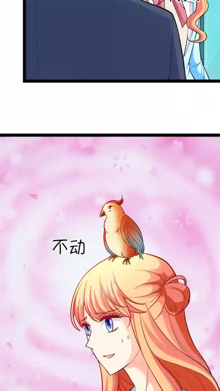 铲屎官也要谈恋爱第13话