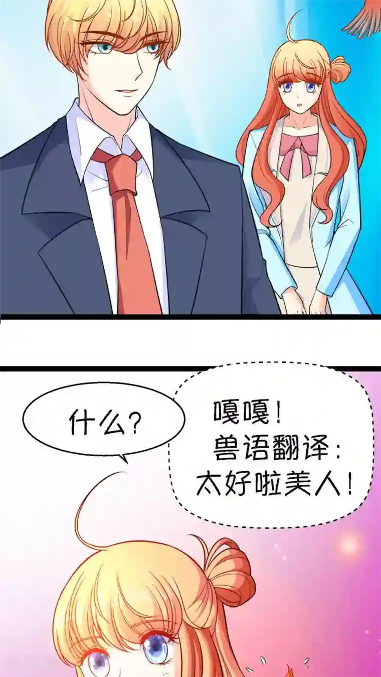 铲屎官也要谈恋爱第13话