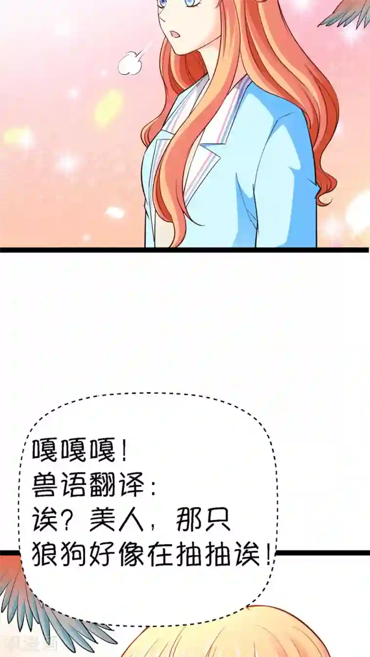 铲屎官也要谈恋爱第13话