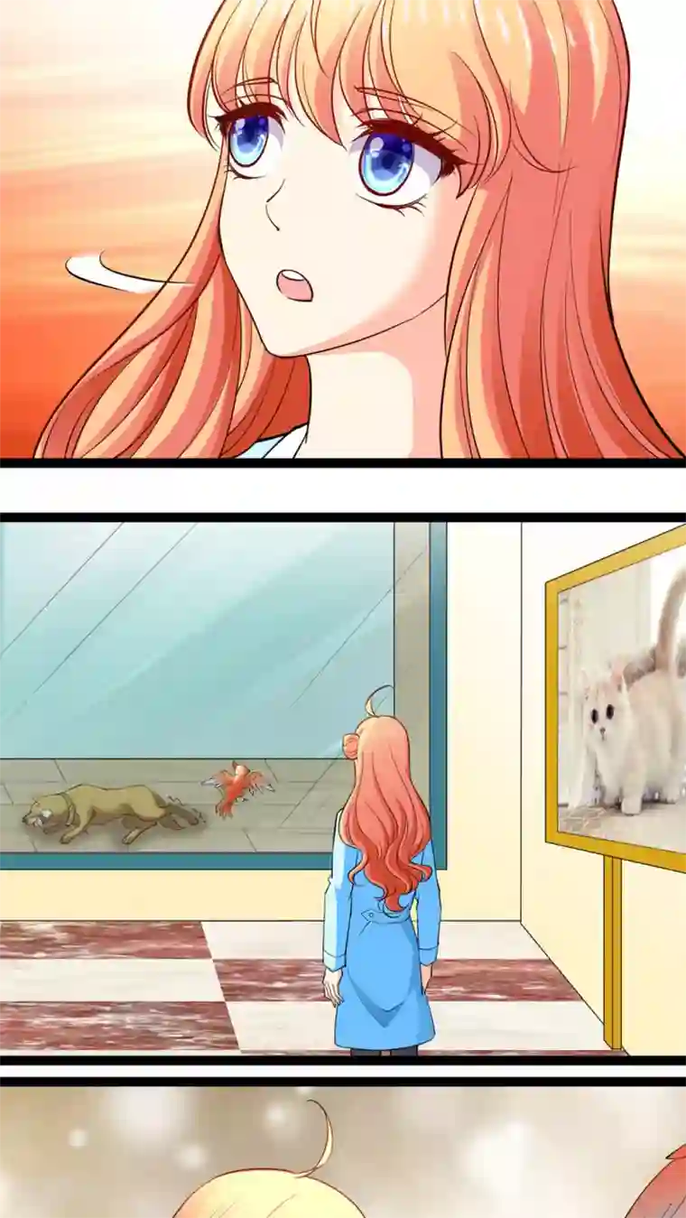 铲屎官也要谈恋爱第13话