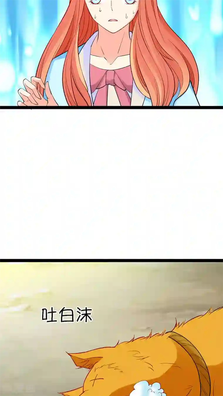 铲屎官也要谈恋爱第13话