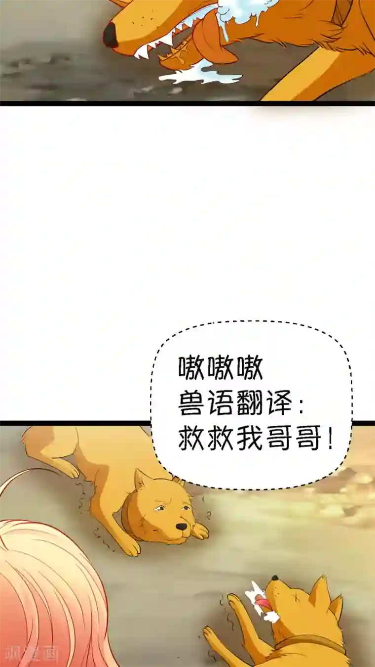 铲屎官也要谈恋爱第13话