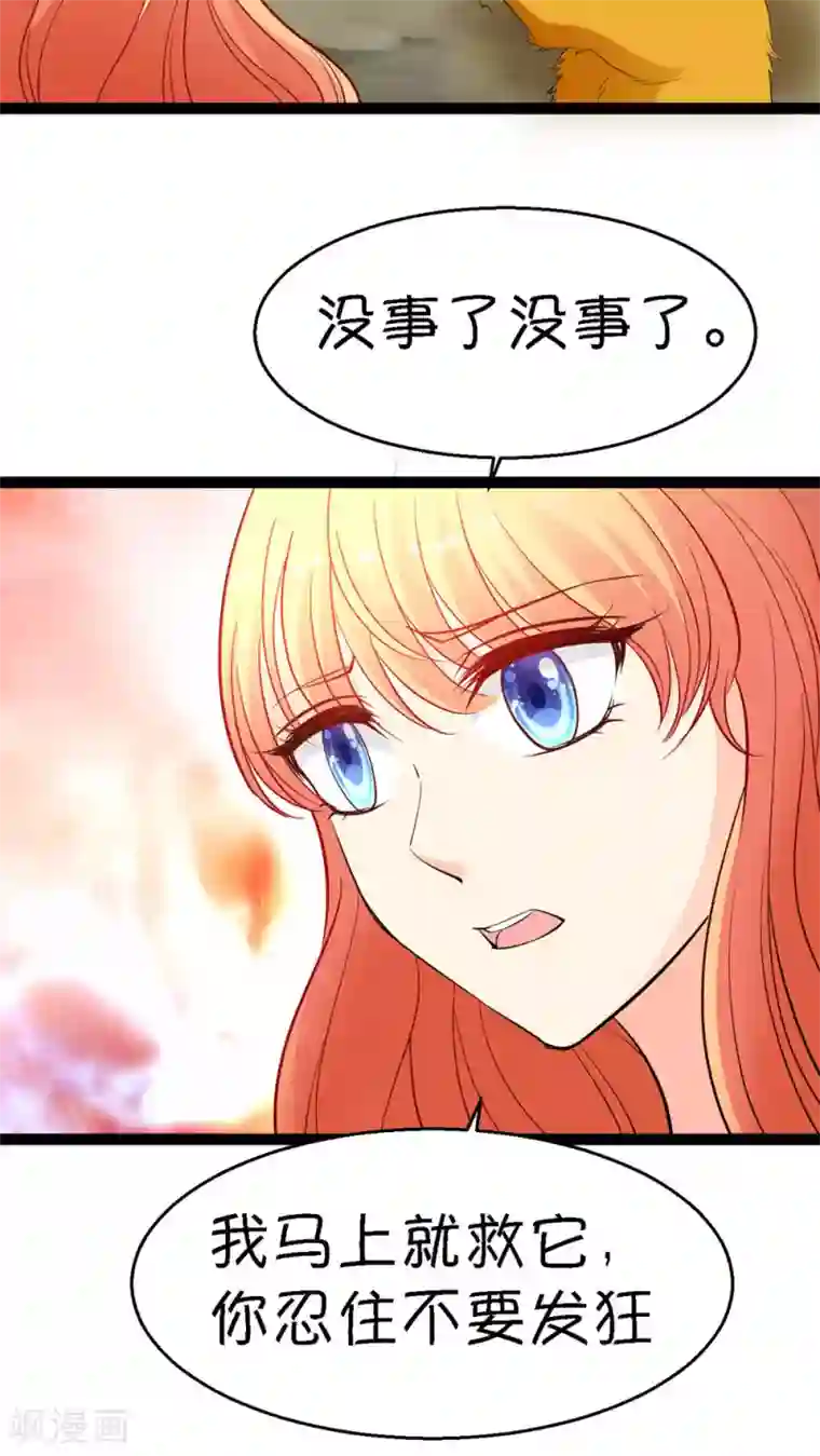 铲屎官也要谈恋爱第13话