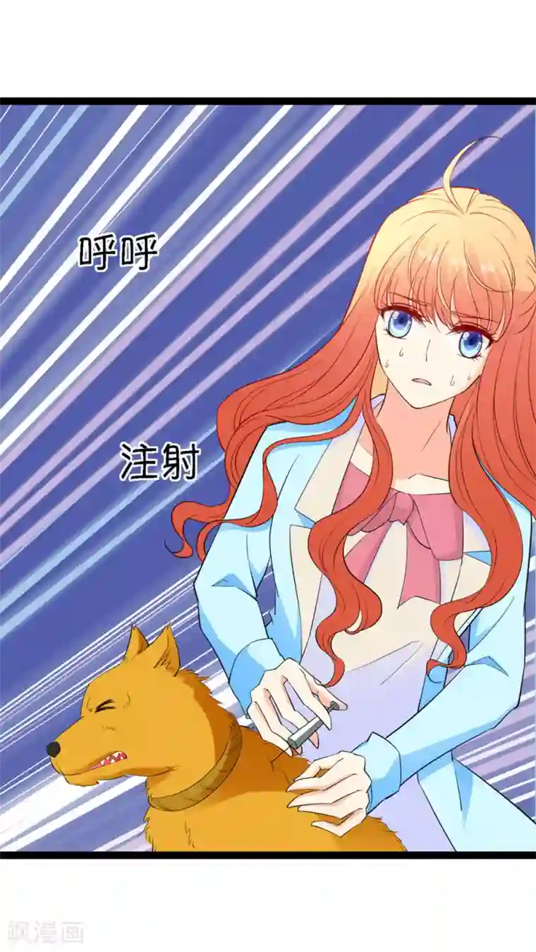 铲屎官也要谈恋爱第13话