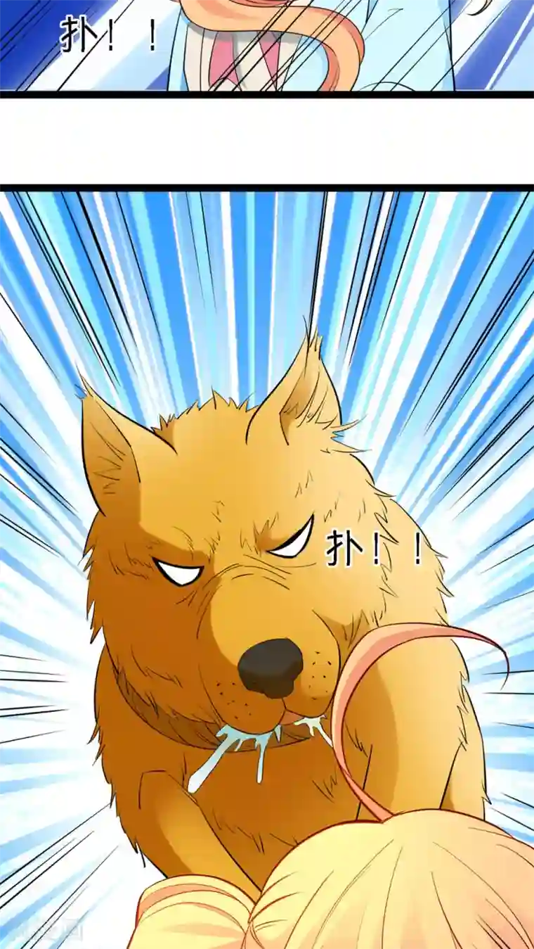 铲屎官也要谈恋爱第13话