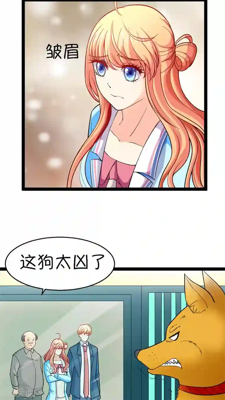 铲屎官也要谈恋爱第13话