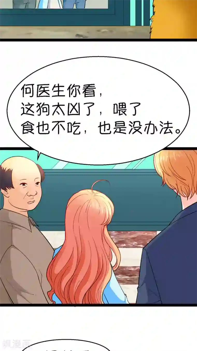 铲屎官也要谈恋爱第13话