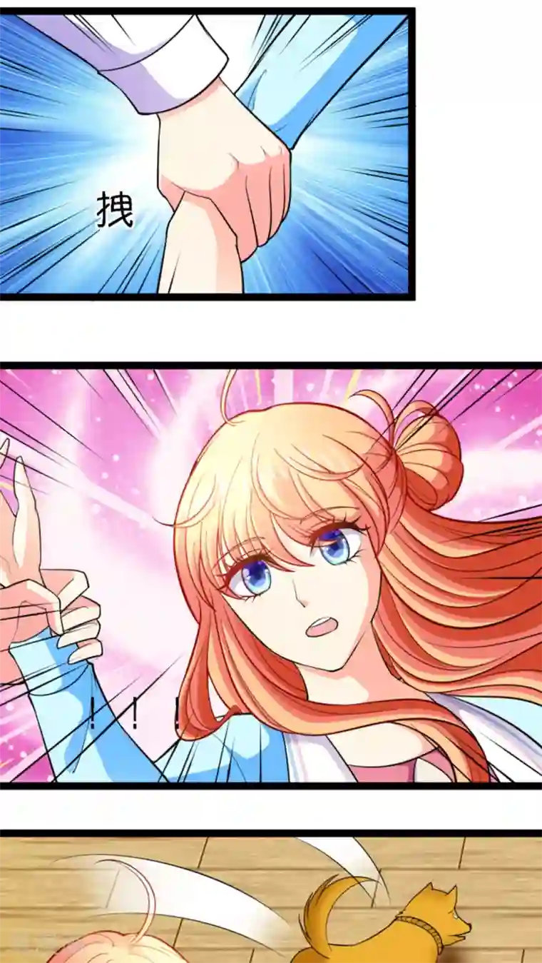 铲屎官也要谈恋爱第14话