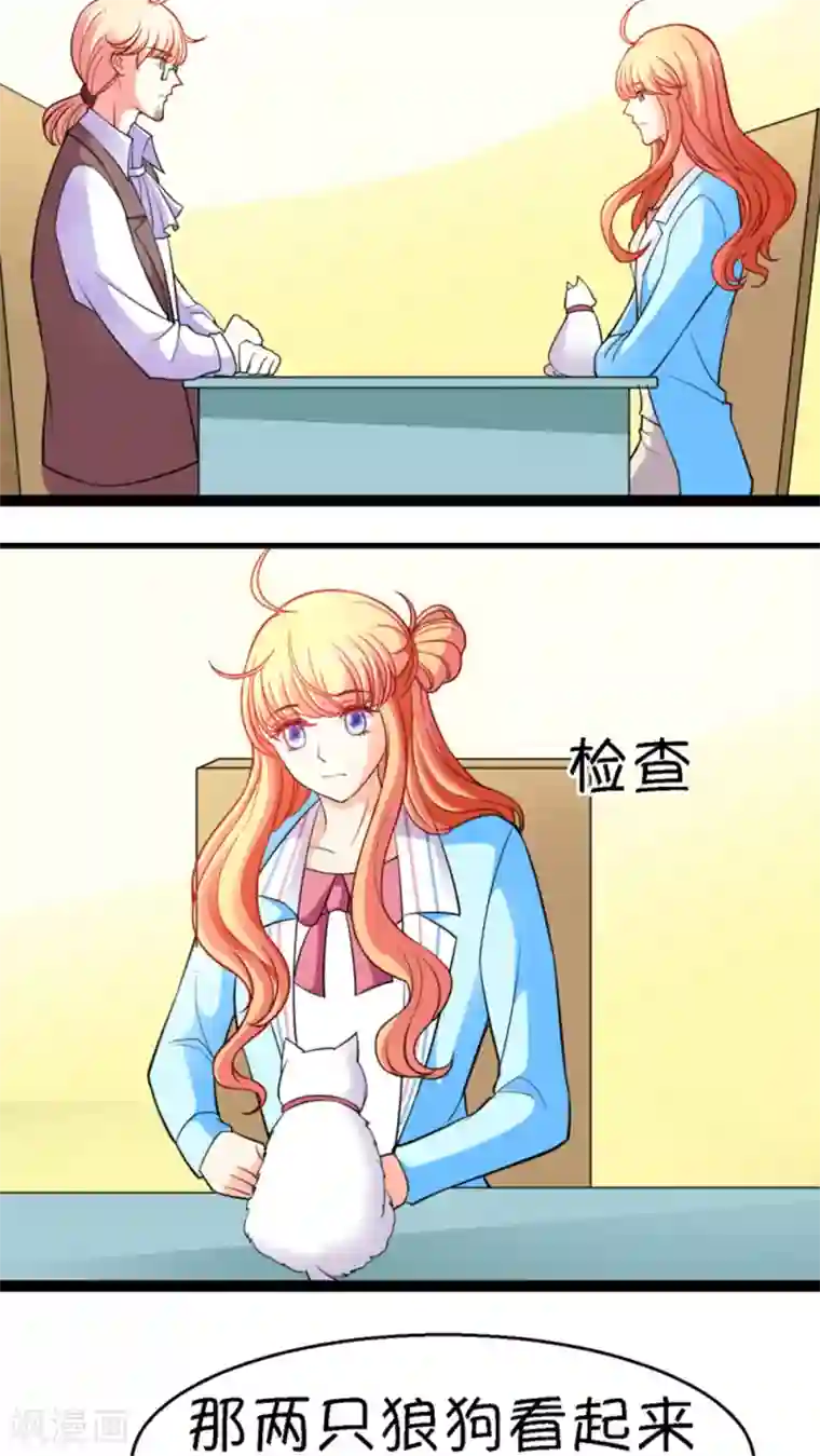 铲屎官也要谈恋爱第14话