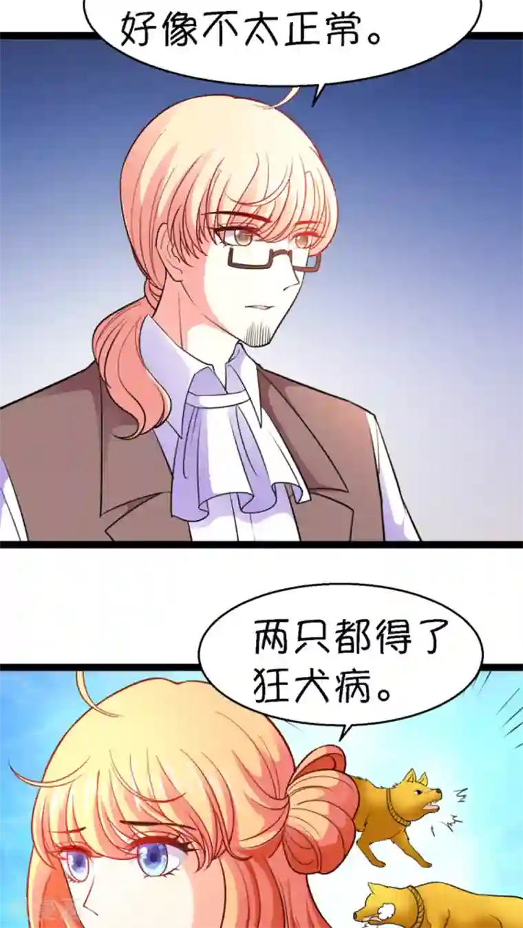 铲屎官也要谈恋爱第14话