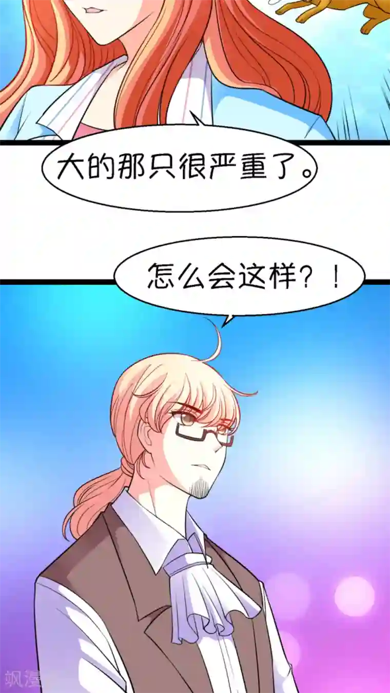 铲屎官也要谈恋爱第14话