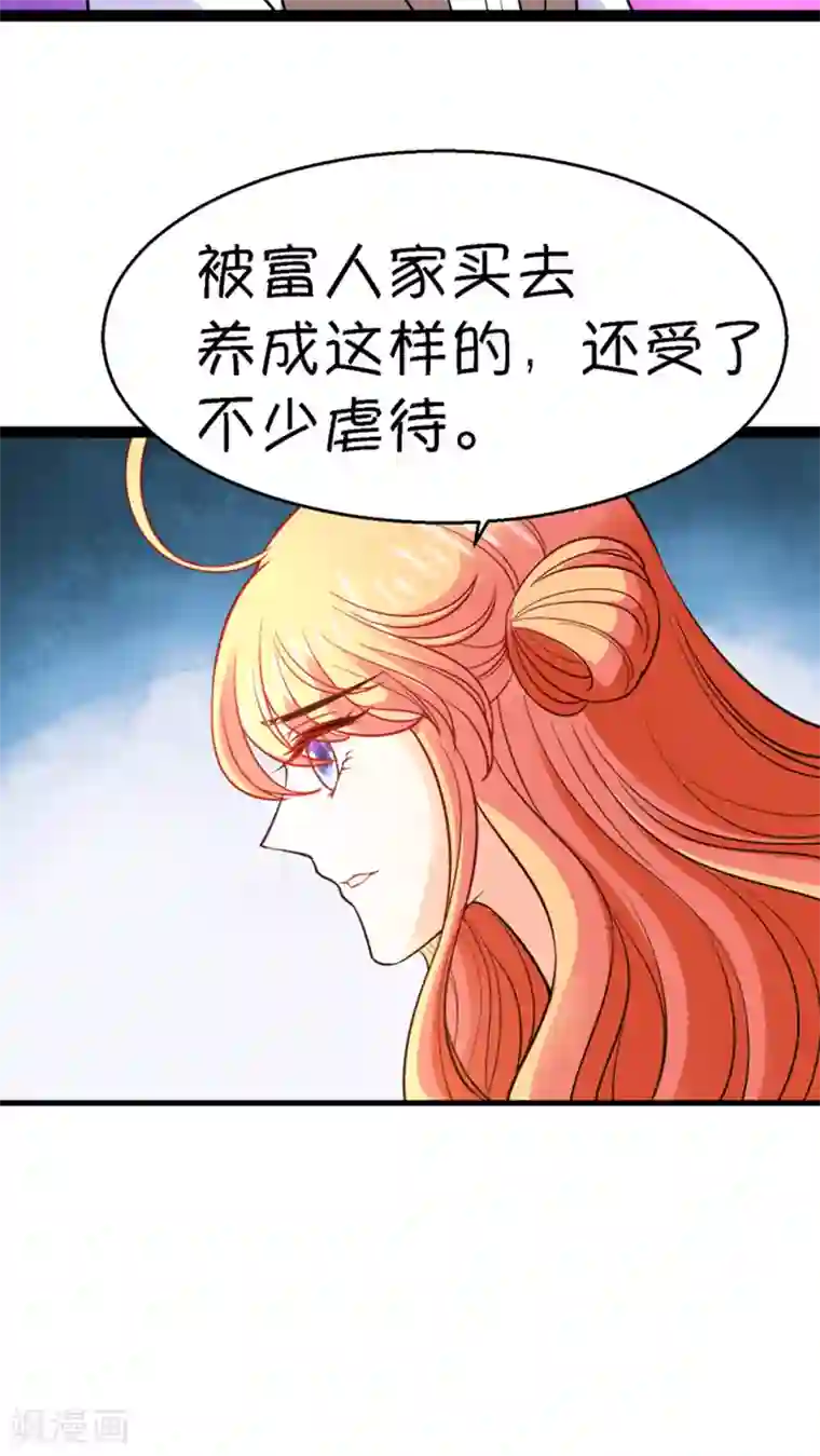 铲屎官也要谈恋爱第14话