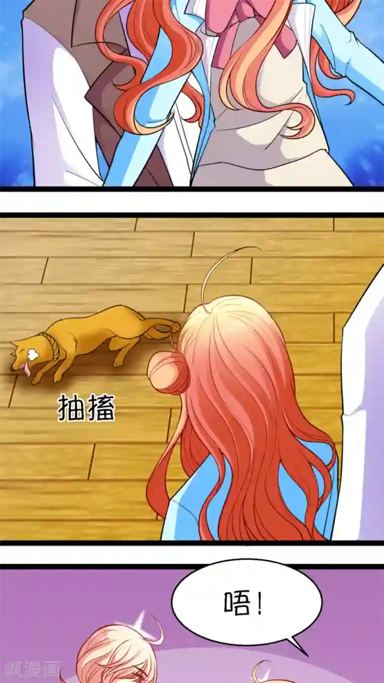 铲屎官也要谈恋爱第14话